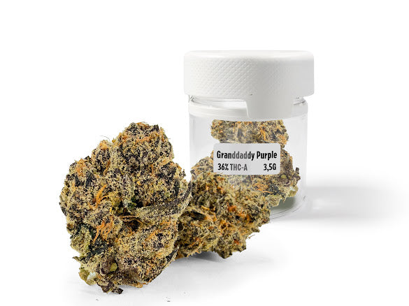 THC-A 36% Flower Granddaddy Purple