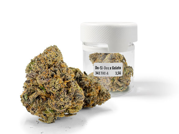 Fleur THC-A 34 % Do-Si-Dos x Gelato