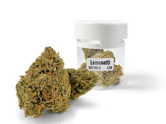 Fleur THC-A 32 % Lemonatti