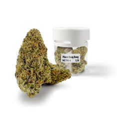 Fleur THC-A 36 % Planet Bang Bang