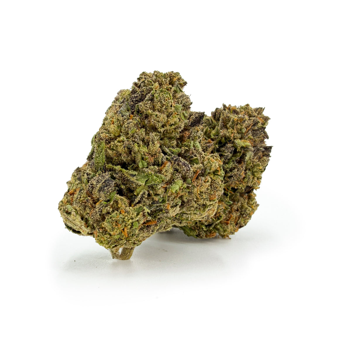 Fleur THC-A 34 % White Truffle
