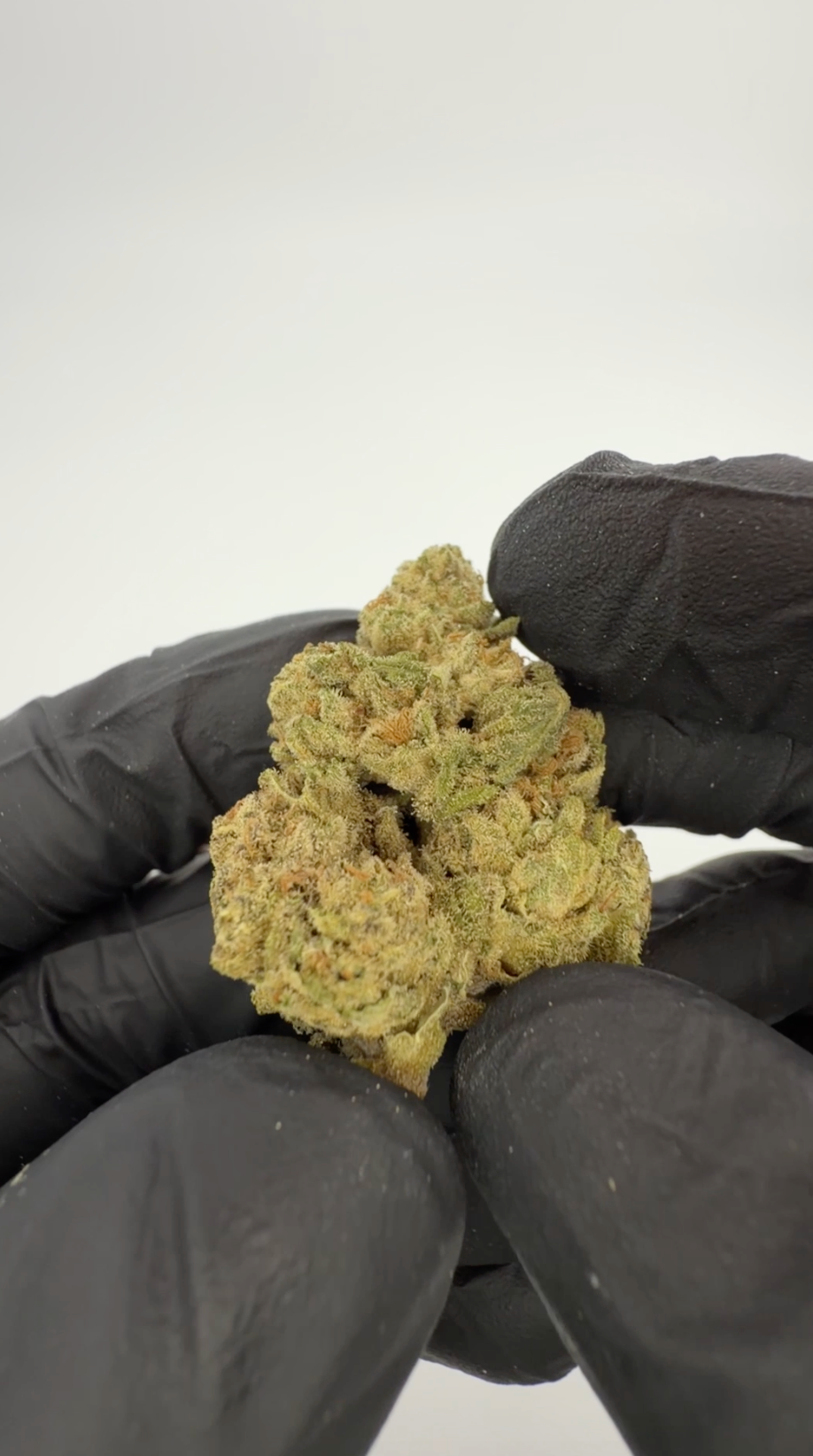 ROLLZ Sniffers THCA flower with brown pouch and premium green buds