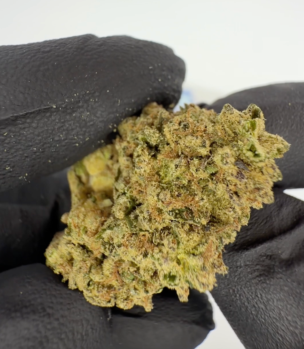 Fleur THC-A Blueberry Muffin