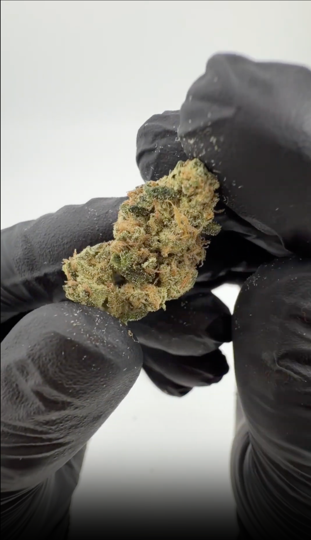 Premium Small Buds Mix – colourful mix of small, frosty buds with green and purple tones against a white background