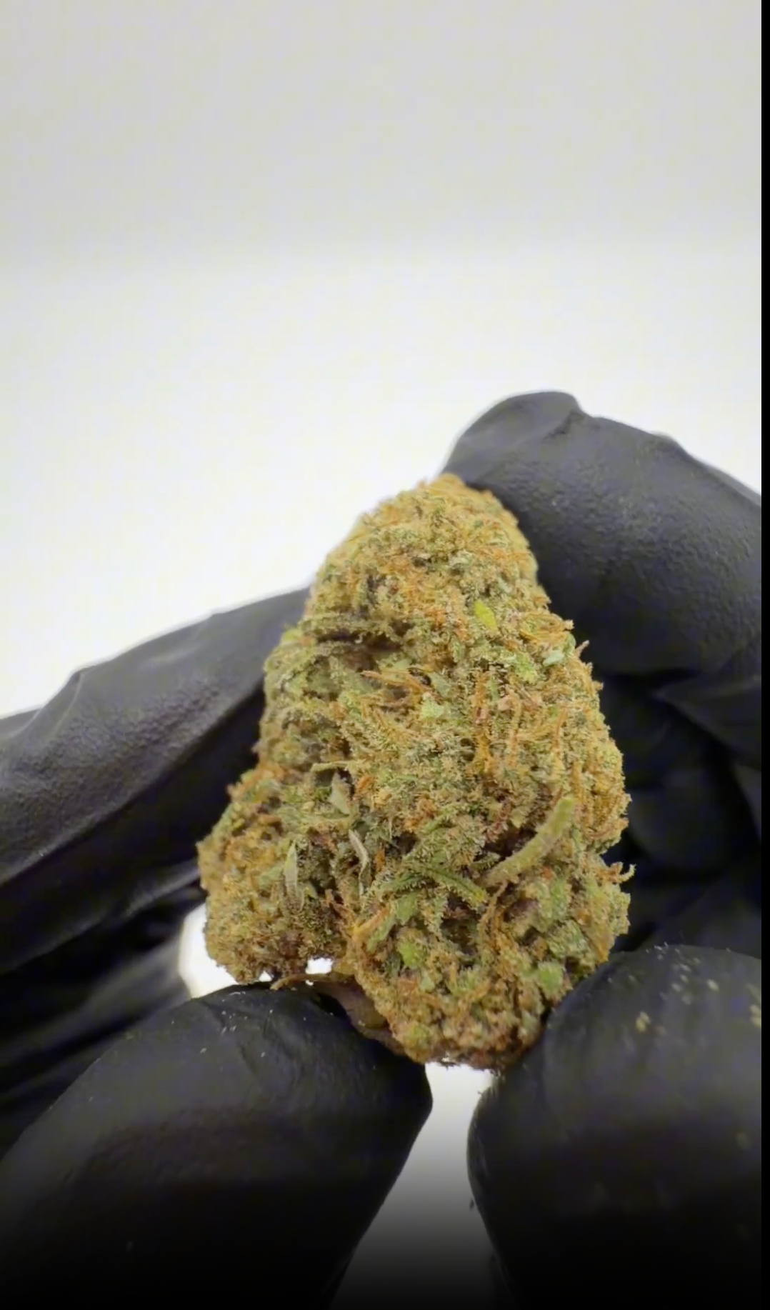 rollzeurope-sky-walker-og-cbd-flowe-1080p