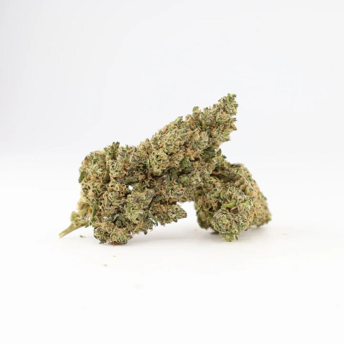 Close-up of Rollz Northern Lights indoor THCA dried flower buds on a white background